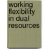 Working flexibility in dual resources