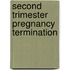 Second trimester pregnancy termination