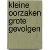 Kleine oorzaken grote gevolgen by Woltjer