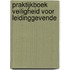 Praktijkboek Veiligheid voor Leidinggevende