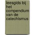 Leesgids bij het compendium van de catechismus