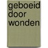 Geboeid door wonden