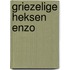 Griezelige heksen enzo