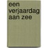 Een verjaardag aan zee