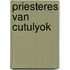 Priesteres van cutulyok