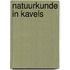 Natuurkunde in kavels