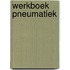 Werkboek pneumatiek