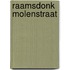 Raamsdonk Molenstraat