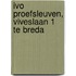 IVO Proefsleuven, Viveslaan 1 te Breda