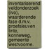 Inventariserend Veldonderzoek (IVO), waarderende fase d.m.v. proefsleuven Tinte, Konneweg, gemeente Westvoorne.