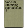 Blaricum, uitbreiding begraafplaats III by H.W.D. van den Engel