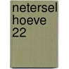Netersel Hoeve 22 door E. Hoven
