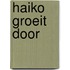 Haiko groeit door