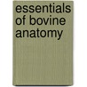 Essentials of bovine anatomy door Dyce
