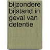 Bijzondere bijstand in geval van detentie door W.A. de Vries