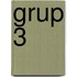 Grup 3