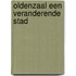 Oldenzaal een veranderende stad