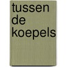 Tussen de koepels door Th. de Groot