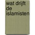 Wat drijft de Islamisten