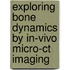 Exploring bone dynamics by in-vivo micro-CT imaging