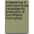 Engineering of Saccharomyces cerevisiae for production of fuel ethanol from xylose