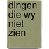 Dingen die wy niet zien