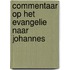 Commentaar op het evangelie naar johannes
