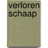 Verloren schaap