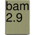 BAM 2.9