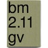 BM 2.11 GV