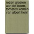 Rozen groeien aan de boom, tomaten komen van Albert Heijn