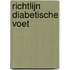 Richtlijn Diabetische voet