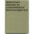 Abdominale obesitas en cardiometabool risicomanagement