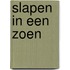 Slapen in een zoen