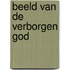 Beeld van de verborgen god