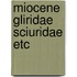 Miocene gliridae sciuridae etc