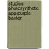 Studies photosynthetic app.purple bacter.