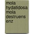 Mola hydatidosa mola destruens enz