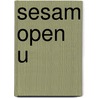 Sesam open u by R.G. de Jong
