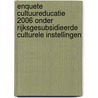 Enquete Cultuureducatie 2006 onder rijksgesubsidieerde culturele instellingen by T. Ijdens