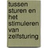 Tussen sturen en het stimuleren van zelfsturing
