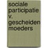 Sociale participatie v. gescheiden moeders