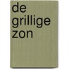 De grillige zon by N. Calder