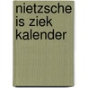 Nietzsche is ziek kalender door R.J. Henkes