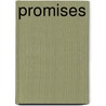 Promises door Jeff Shapiro