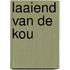 Laaiend van de kou