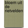 Bloem uit de rietvelden by Alwine de Jong