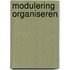 Modulering organiseren