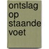 Ontslag op staande voet