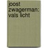Joost Zwagerman: Vals licht